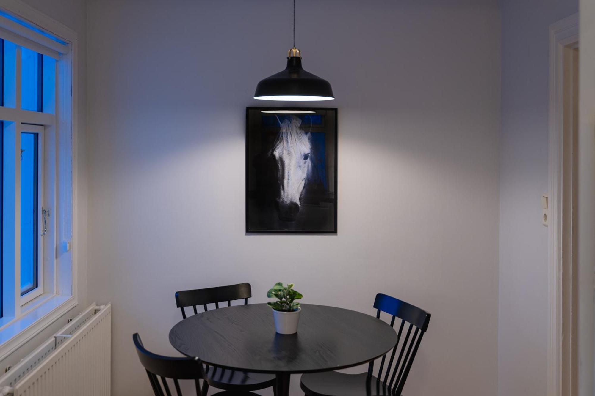 Day Dream Central Akureyri Three Bedroom Apt Buitenkant foto